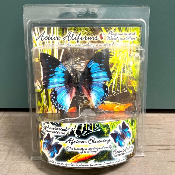 Active Aliforms African Bluewing Butterfly - Picture 1 of 2